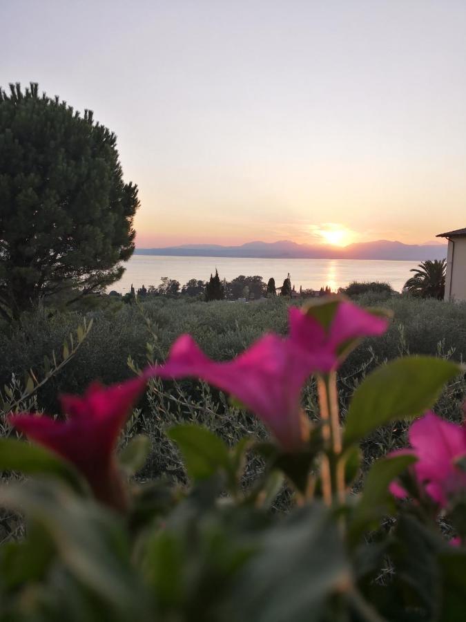 Appartamenti Bellini Bardolino Eksteriør bilde